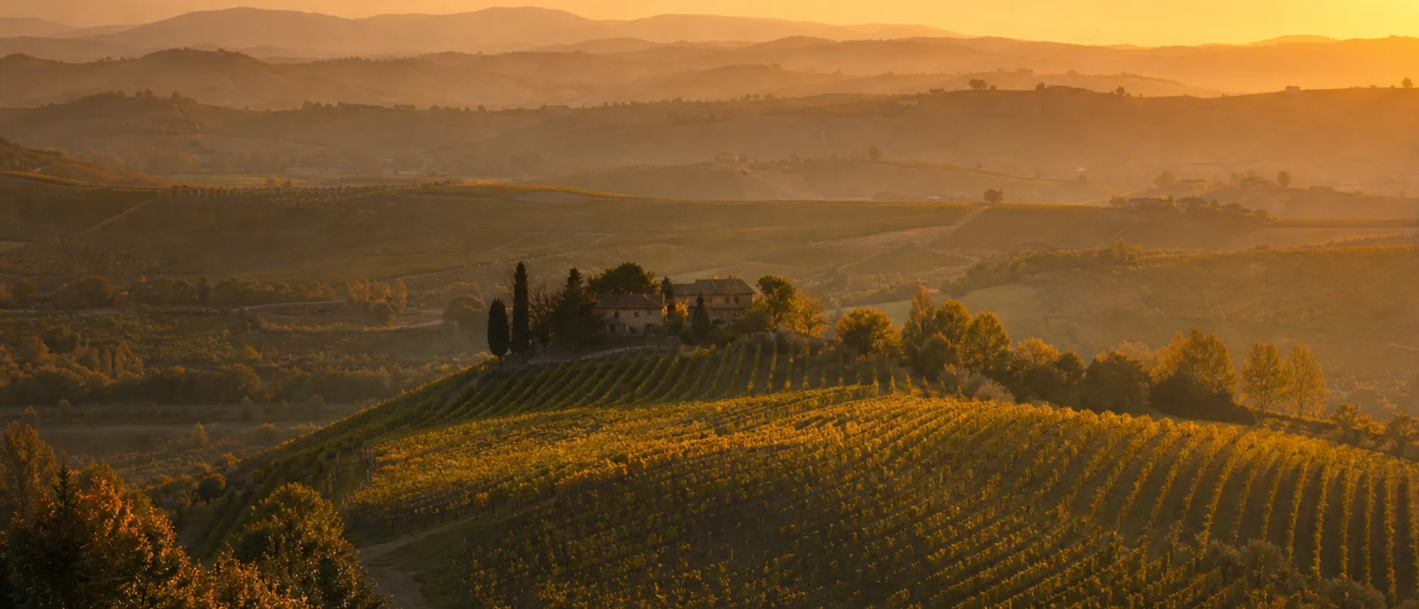 Colline delle Langhe vicino ad Alba al tramonto