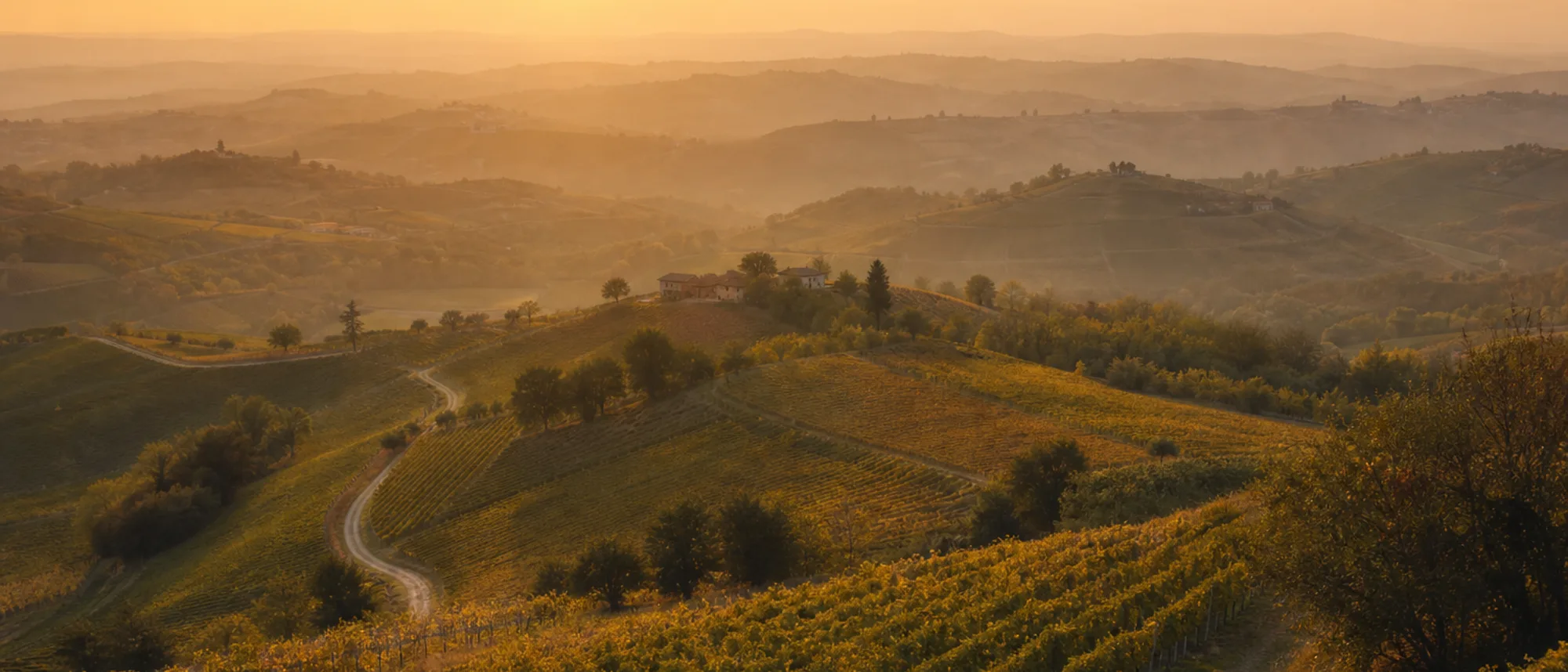 Colline del Roero nei pressi di Canale