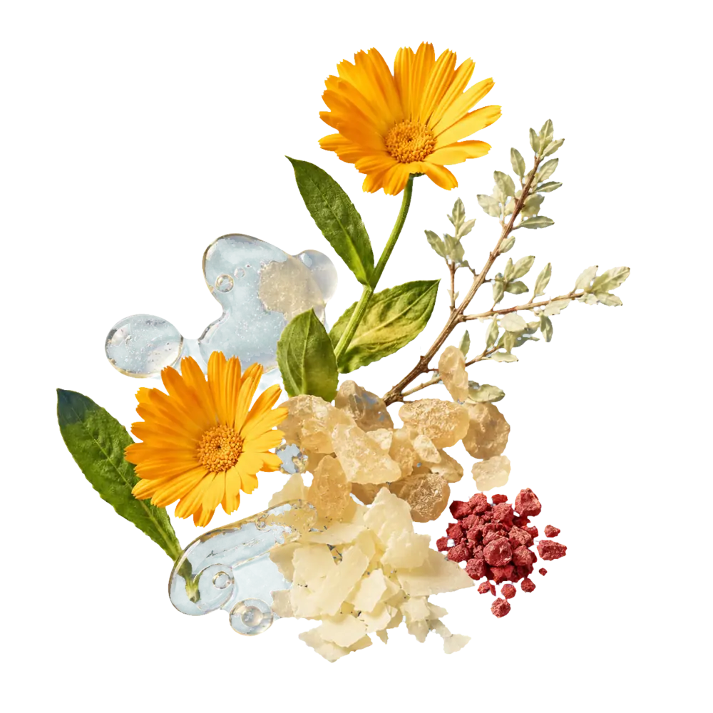 Calendula e manna del percorso Barrier